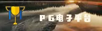 【官方】PG电子游戏APP官网 - 2026新版